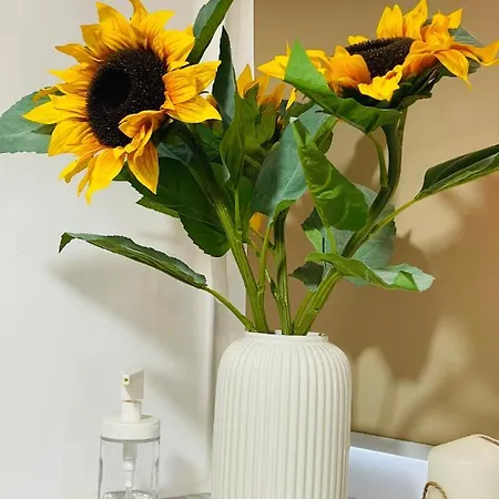 Apartmán Casa Ferias